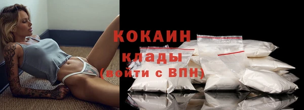 apvp Каменногорск