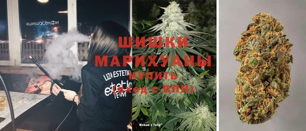 амф Каменка