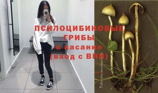 таблы Каменск-Шахтинский