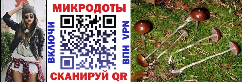 Псилоцибиновые грибы мицелий  Купить закладки  Новодвинск 